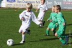 wu8VKLOHL-219